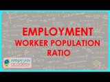 504.Class XI - CBSE, ICSE, NCERT -  Employment - Worker Population Ratio