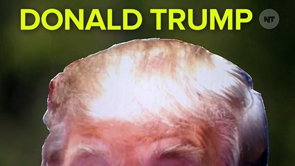 Donald Trump: Presidential Candidate, Scarecrow