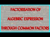 349.CBSE Class VIII, ICSE Class VIII -   Factorisation of Algebric expression through common factors