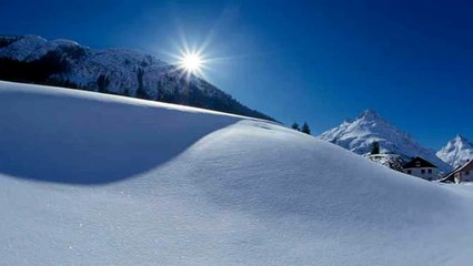 Wolfgang Ambros   Du Bist Wie Die Wintersunn Live