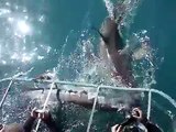 SHARK ATTACK IN SOUTH AFRICA