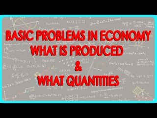 1329. Basic Problems in Economy -  What is produced & what quantities