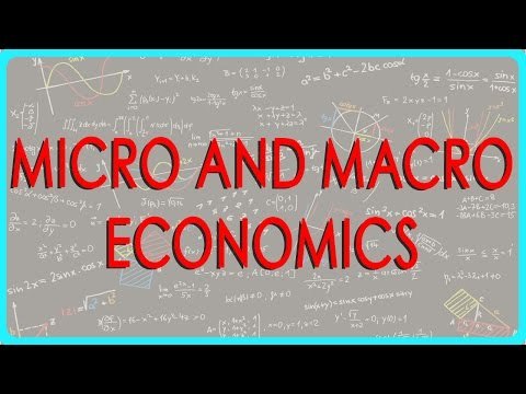 1334.Economics Class 11 - Micro and Macro economics