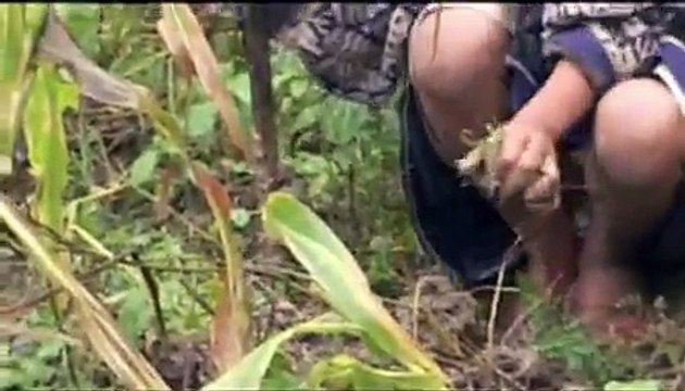 A Day in the Life of Evalina - Experience Poverty in Timor Leste (East Timor)