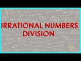 1425. CBSE Math Class IX, ICSE Class 9 -  Irrational numbers Division