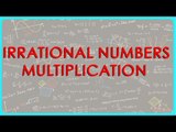 1424.CBSE Math Class IX, ICSE Class 9 -   Irrational numbers Multiplication
