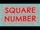 118-Mathematics Class VII - Square number