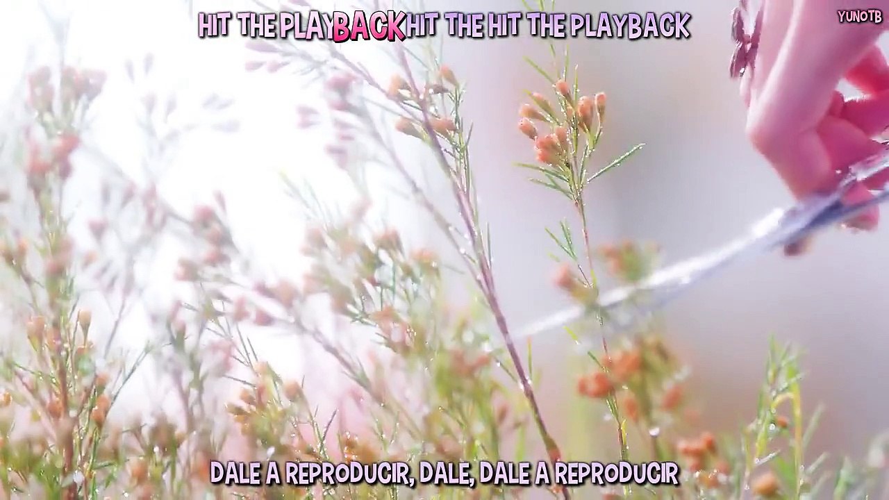 (Karaoke-SubEsp) Playback- Playback