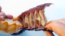 Lobster Tail with Claws - Preparation, Seasoning and Cooking - PoorMansGourmet