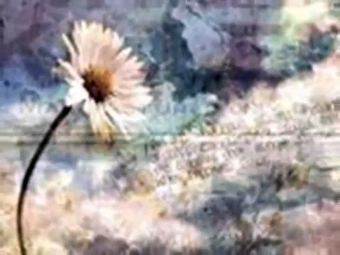 ZELJKO BEBEK - DA JE SRECE BILO