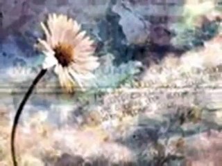 ZELJKO BEBEK - DA JE SRECE BILO