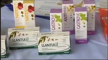 Terapias alternativas para o gando A camelia - Labranza - TVG