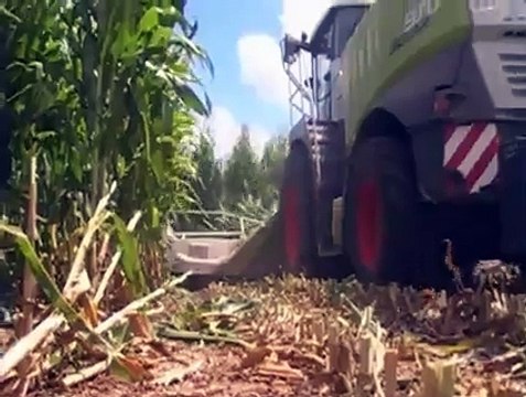 Claas Jaguar 970 cutting in Texas 2008