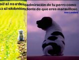Perritos y Personas