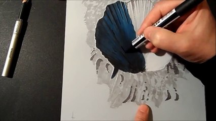 Drawing a 3D Crater, Hole Illusion