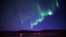real time northern lights , shooting stars and a polar bear