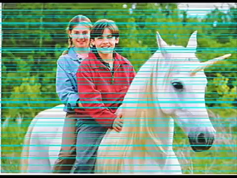 Filmy o koniach