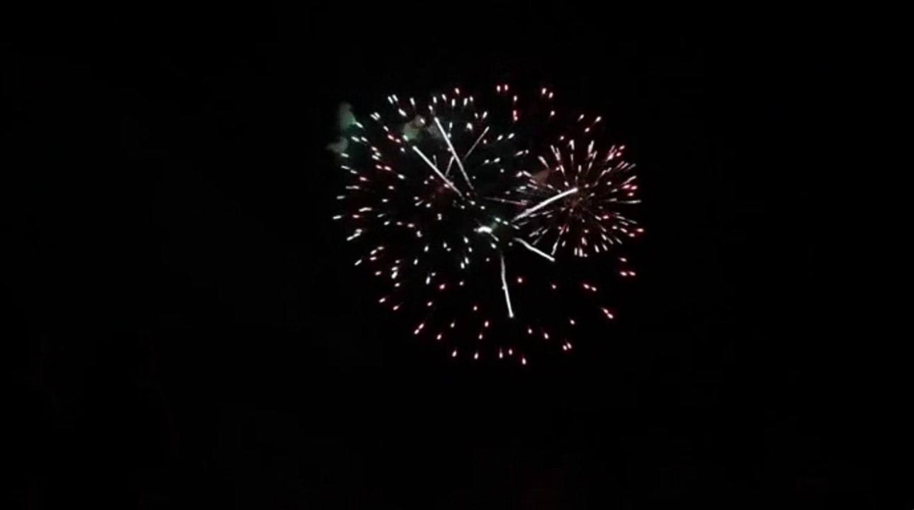 MVI_0257