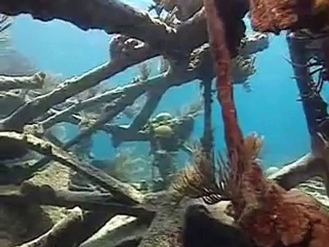 PADI Scuba Diving Lessons: PADI Wreck Diver Course