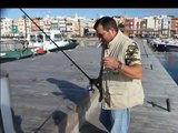 Pesca marítima en Tarragona