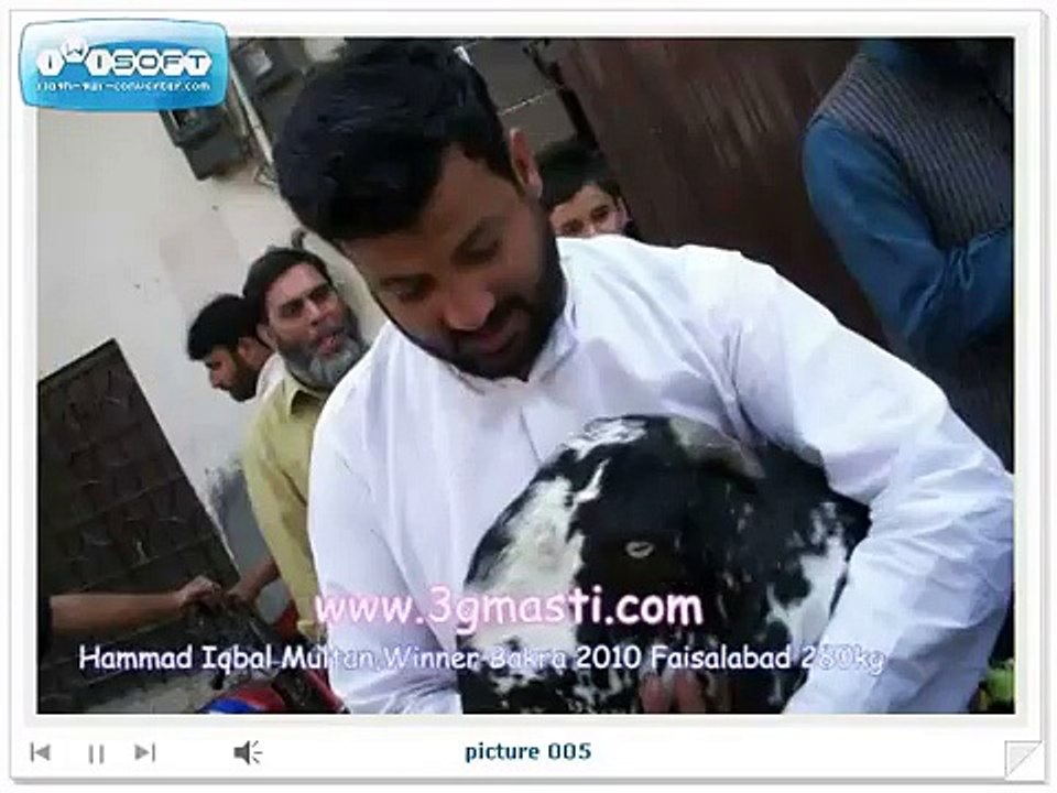 Hamad Iqbal Multan,Winner Bakra 2010 Faisalabad 280kg