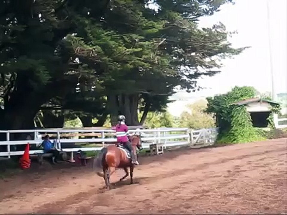Riding Lesson (13 Dec 2010)