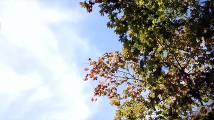 EO Key Executive Program