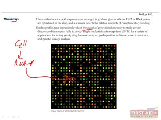 Biochemistry Laboratory Techniques