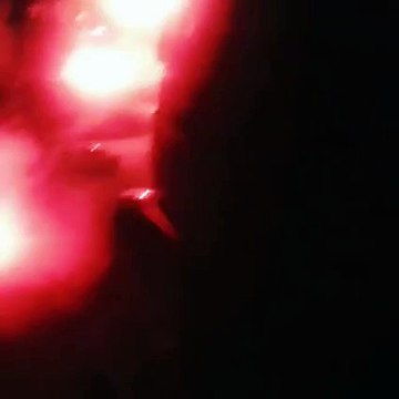 Tuča navijača fk sarajevo fk lech vogošća