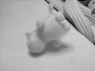 L'histoire du cheval blanc diabétique