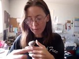 Teaching Baby Zebra Finches to Fly to My Hand