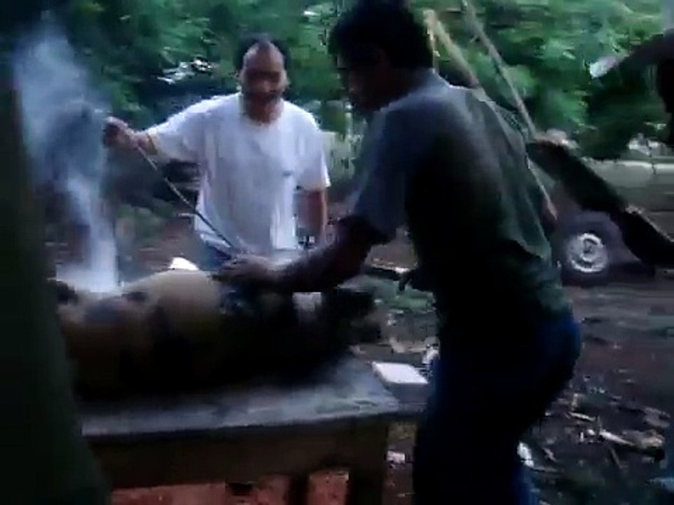Matando a un cerdo x-treme
