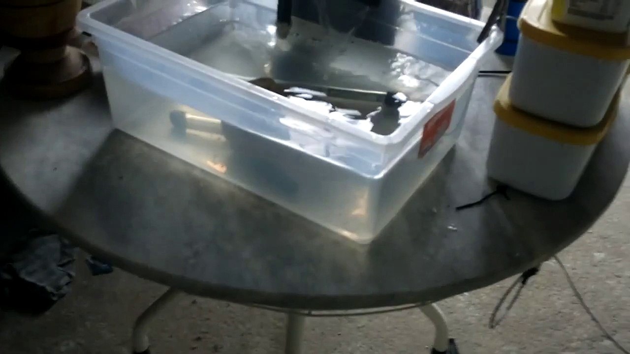 criação de peixes em caixa de agua