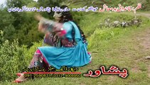 Pashto HD film | Khanadani Badmash | Za Pukhtoon Malang Yum | Bakhtiar Khattak and Sitara Younas