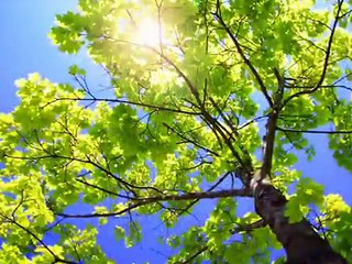 Sverige - Jussi Björling (1959)