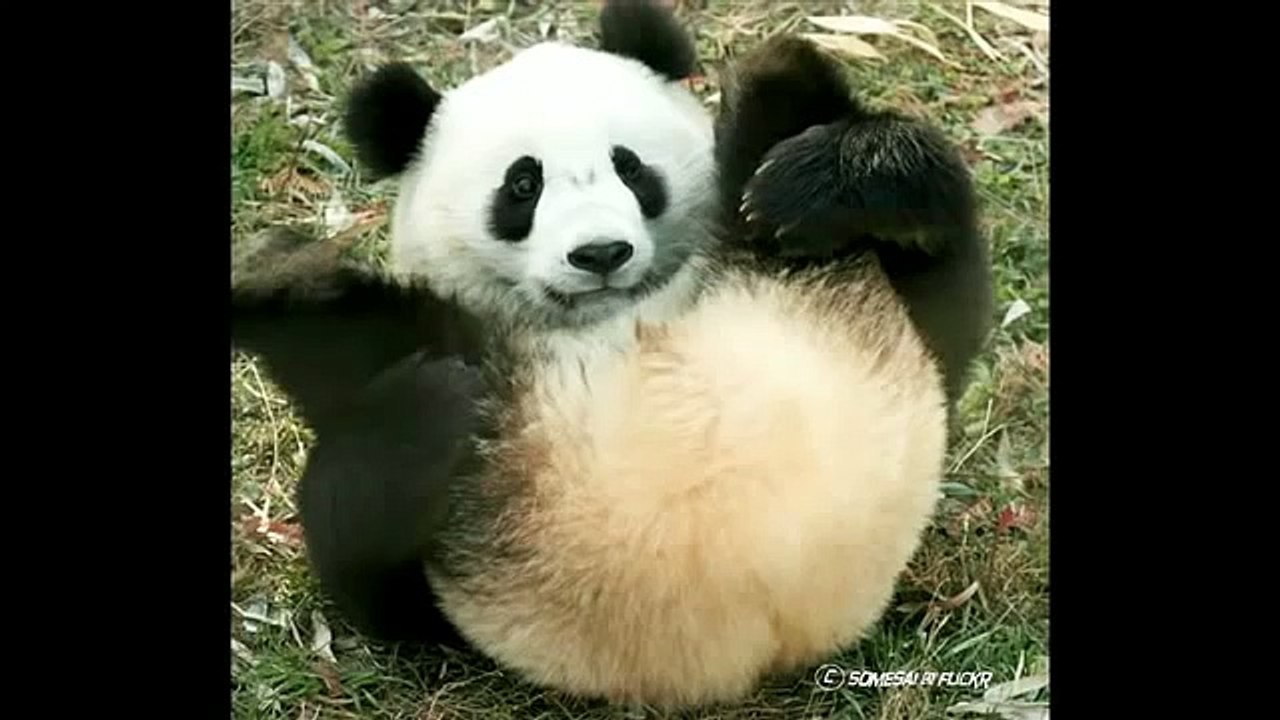 TED Fellow Eddie Huang on self-identity