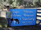 Harrah's Shelters Delivering Horse Shelters for Safe Haven Horse Rescue