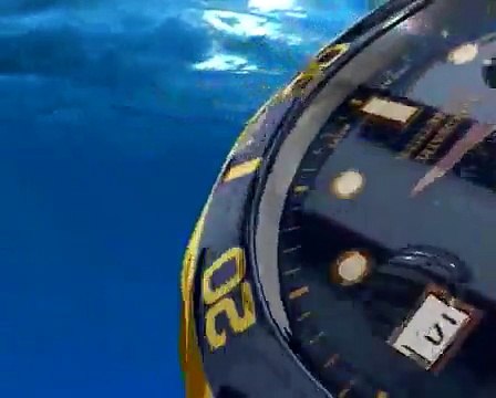 Invicta Pro Diver