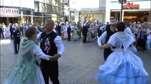 07. Video / Heimattage der Banater Schwaben 2014 in Ulm