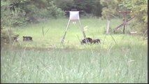 East Texas Hunting Adventures - Corrigan, TX Video #1