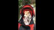 FELIX WIRE FOX TERRIER & HIS ROCKIN' RED STROLLER RIDE