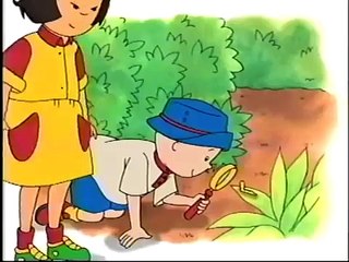 Caillou Intro PBS - (2000).mpg