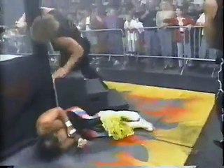"Hollywood" Hogan beats the hell out of Randy Savage and ENSLAVES Elizabeth