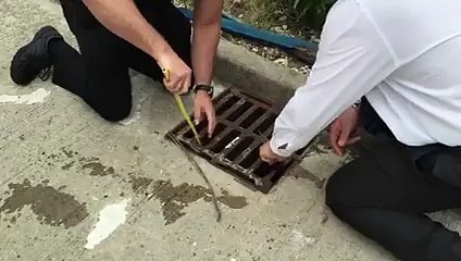 So rettet man Enten Babys aus der Kanalisation