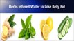 Weight Loss Diet Drink Lose Weight without Exercise - Infused Water to Lose Belly Fat Quick