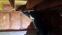 Open Cell vs. Closed Cell Spray Foam -- Island Basement Systems on the Job