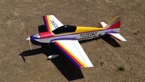 TOJEIRO RC Plane 3D aerobatics　ラジコン飛行機 Pilot