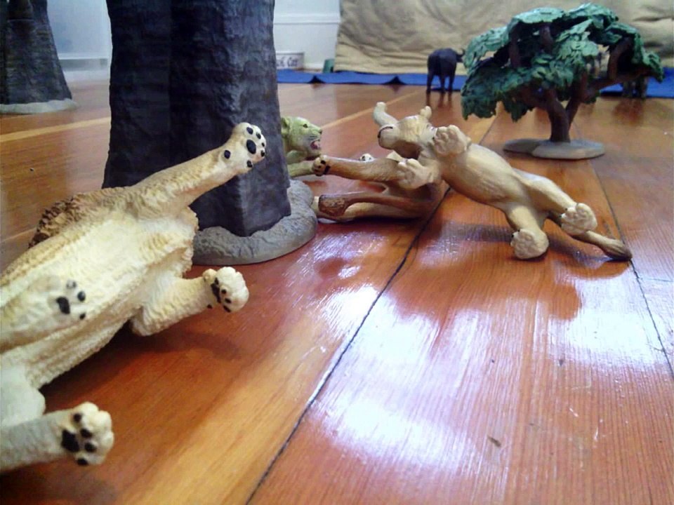 Animal Adventures Studios Presents - Animal Face-Off: Lion vs  Nile Crocodile