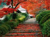 الحدائق اليابانية أروع وأجمل حدائق العالم