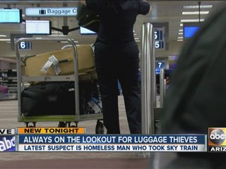 Homeless man arrested after stealing luggage